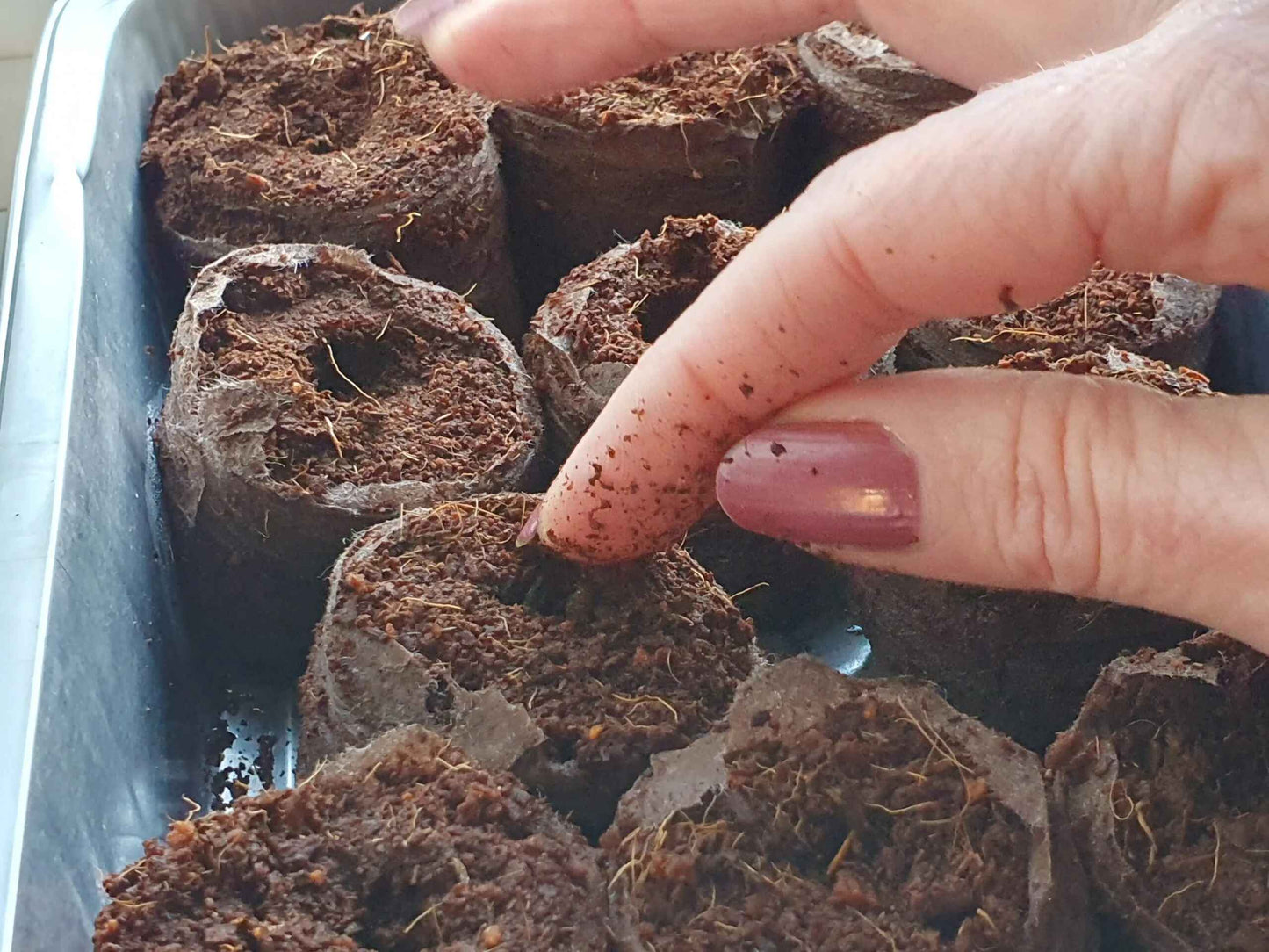 Coco Coir Plant Starter Pellets 36mm