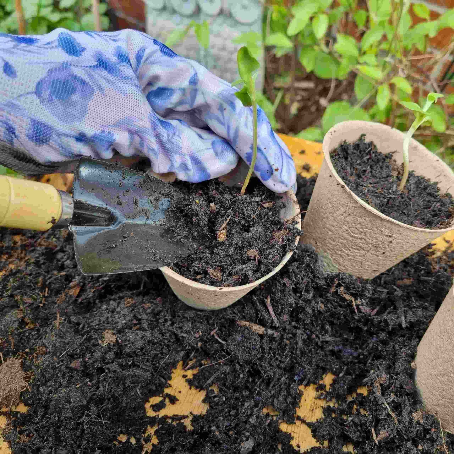 Small Gardening Tools - Set of 3