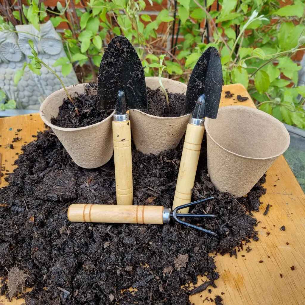 Small Gardening Tools - Set of 3