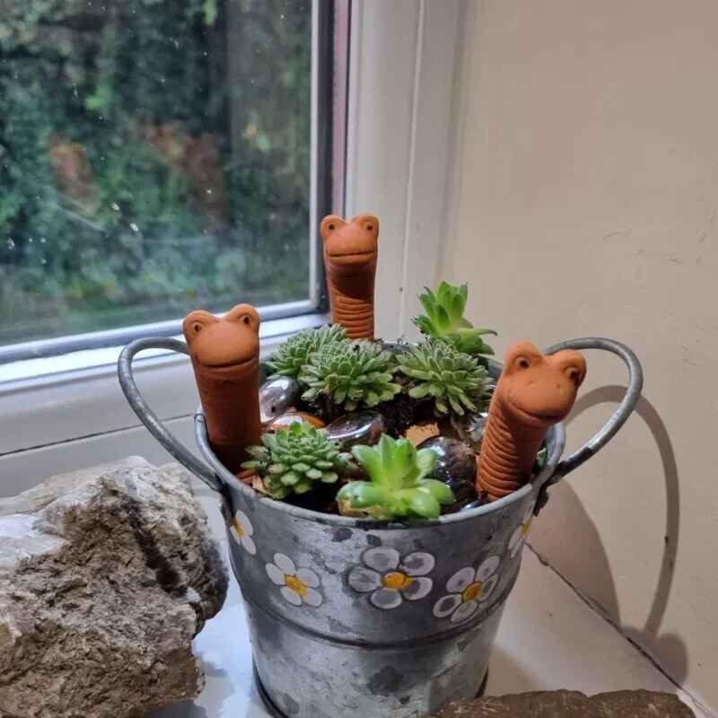 Willy the Worm - Novelty Pot Decoration and Water Sensor
