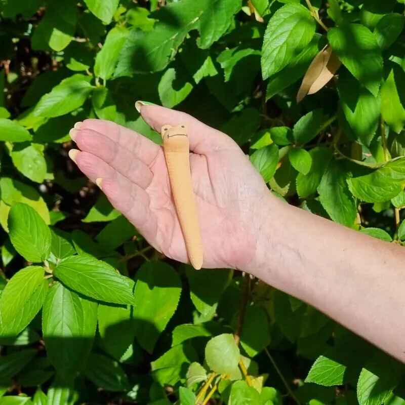 Willy the Worm - Novelty Pot Decoration and Water Sensor