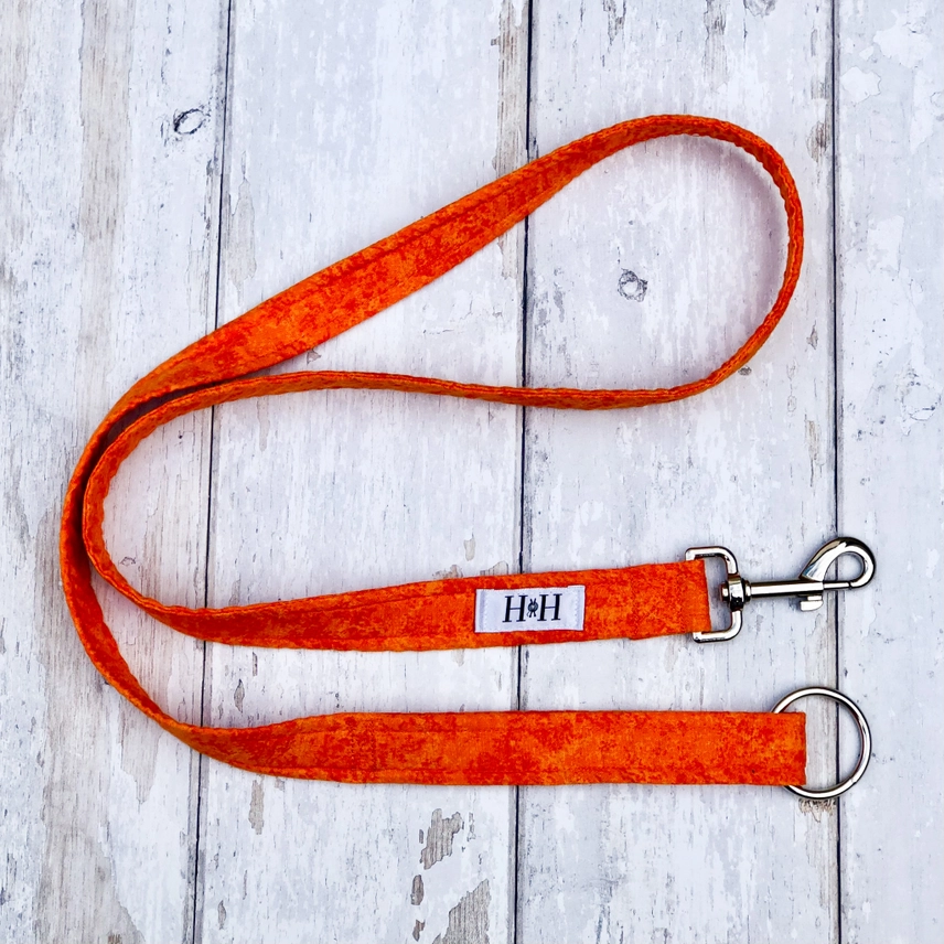 Pet Lead - Orange