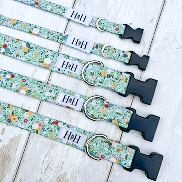 Pet Collar - Teal Floral